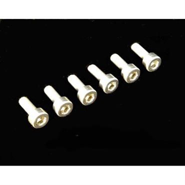 Stainless Saddle Mounting Screw Set (6)