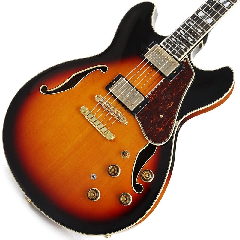 ARTSTAR AS113-BS (Brown Sunburst)の商品画像