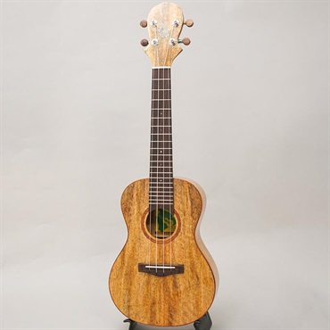 BIG ISLAND U-MO-CTS Mango Concert ビッグアイランド