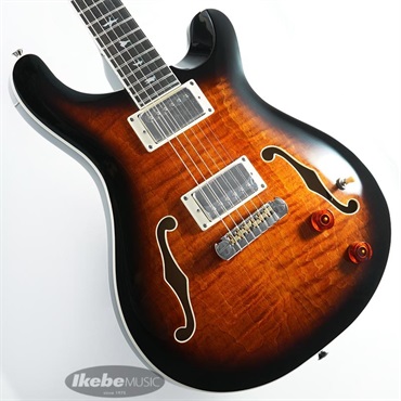 SE Hollowbody II (Black Gold Burst)