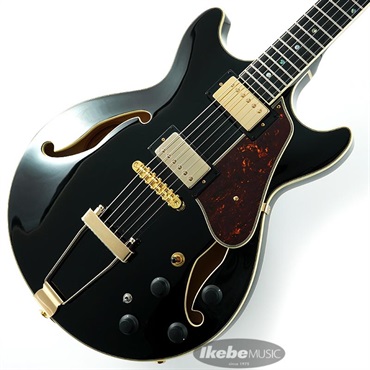 Artcore Expressionist AMH90-BK