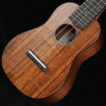 FGN Acoustic Soprano FUS-TS フジゲン