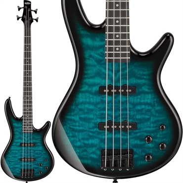 Ibanez 【入荷待ち、ご予約受付中】 GSR280QA-TMS