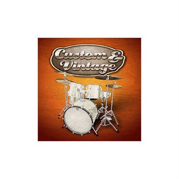 TOONTRACK SDX CUSTOM & VINTAGE(オンライン納品)(2時間以内に納品)