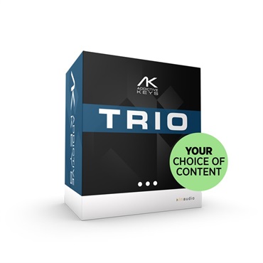 Addictive Keys Trio bundle (代引不可)(オンライン納品)
