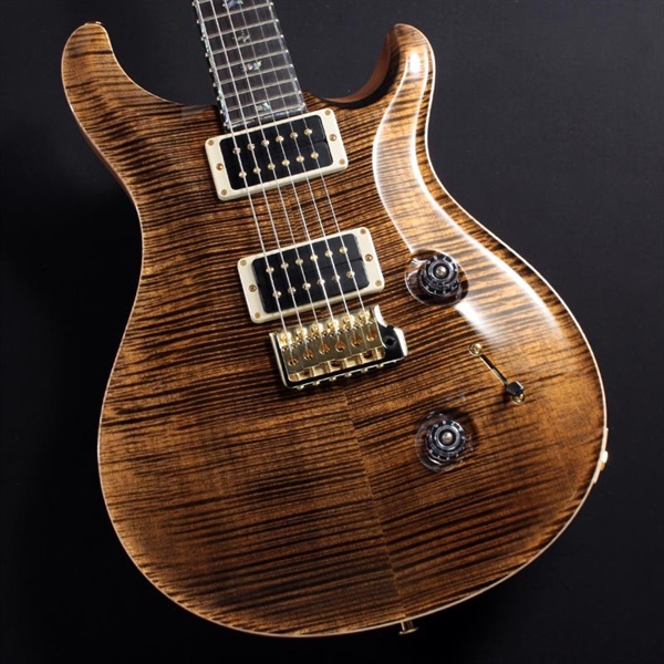 Ikebe Original Wood Library Custom24 McCarty Thickness Espresso #0340441【2022年生産品】の商品画像