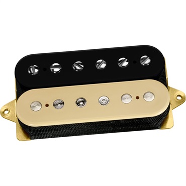 Transition Bridge [DP255] (Black-Cream/Standard-Spaced) 【安心の正規輸入品】