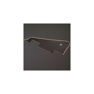 Time Machine Collection  Hist LPC pickguard relic [386]