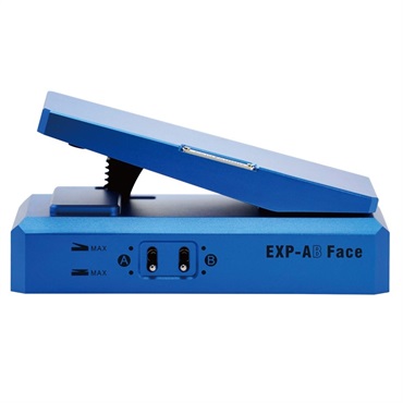 PAINT AUDIO EXP-AB Face