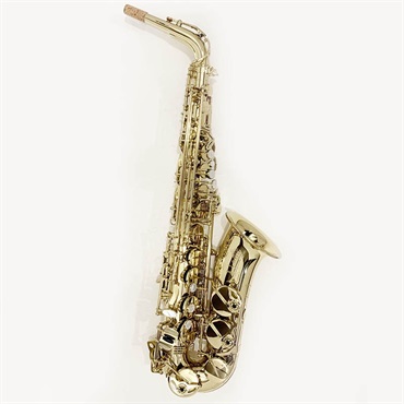 Selmer Paris USED 中古 セルマー アルトサックス SERIE III w/e GL S/N:614xx2 【調整&セットアップ後出荷】【5年間キーバランス調整無料】