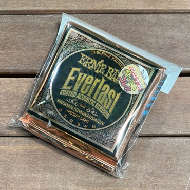 2546 (Everlast Coated Phosphor Bronze MEDIUM LIGHT) 2セット+ファイバークロス付き