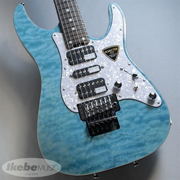 SD-2-24-AL (Aqua Blue/Rosewood)