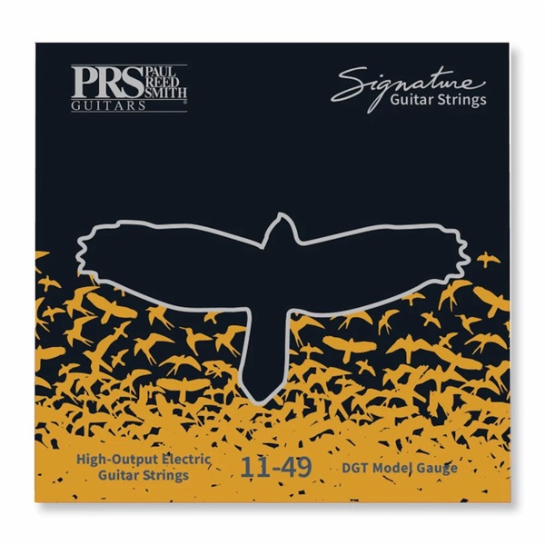 Signature David Grissom Guitar Strings 11-49の商品画像