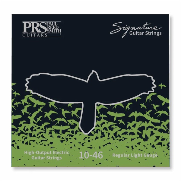 Signature Regular Light Guitar Strings 10-46の商品画像
