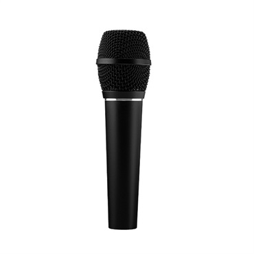 【アースワークスVocal Mic Promo 2026！】SR117 (コンデンサーマイク)(スーパーカーディオイド)(アースワークス)