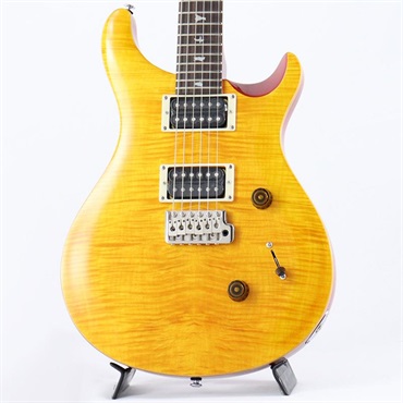 SE Custom 24 (Vintage Yellow) 【2025年生産品】