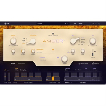 Virtual Guitarist AMBER 2(ユージャム)(ヴァーチャルギタリスト)(オンライン納品)(2時間以内に納品)
