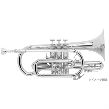 バック / 184ML SP 【Bb コルネット】【出荷前調整で安心】