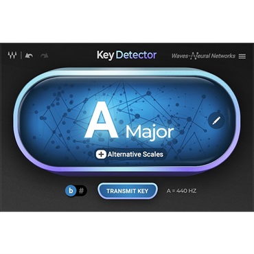 Key Detector(オンライン納品)(2時間以内に納品)