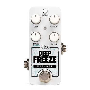 【WEB限定在庫処分セール】 PICO DEEP FREEZE フリーズ ホールド エレハモ