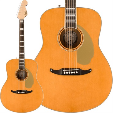 Fender Palomino Vintage (Aged Natural) 【お取り寄せ】 フェンダー