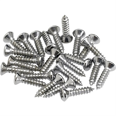 【夏先取り大特価セール】Pickguard/Control Plate Mounting Screws (24) (Chrome) (0994923000)