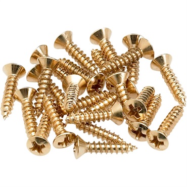 【夏先取り大特価セール】Pickguard/Control Plate Mounting Screws (24) (Gold) (0994924000)