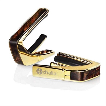 Exotic Shell Series 24K Gold WHISKEY ANGELWING [新仕様] タリアカポ