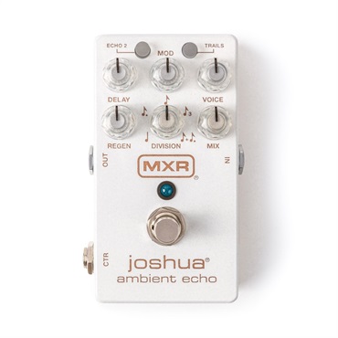 M309 JOSHUA AMBIENT ECHO