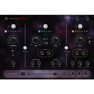 Space Rider(オンライン納品)(2時間以内に納品)