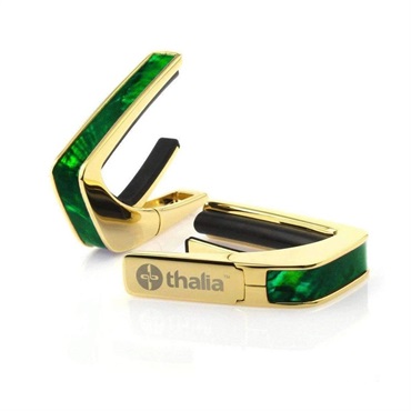 Exotic Shell Series 24K Gold Green Angel Wing [新仕様] タリアカポ