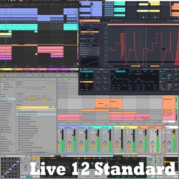 Live 12 Standard (代引不可)(オンライン納品)