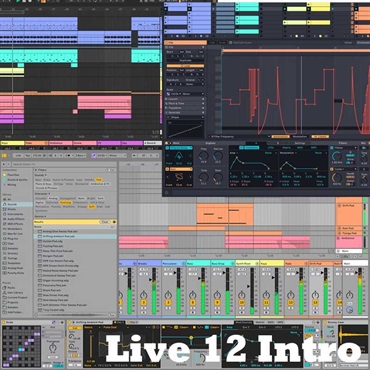 Live 12 Intro (代引不可)(オンライン納品)