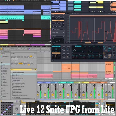 Live 12 Suite UPG from Lite (代引不可)(オンライン納品)