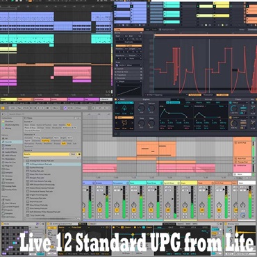 ableton Live 12 Standard UPG from Lite (代引不可)(オンライン納品)