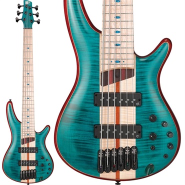 Premium SR1426B-CGL [SPOT MODEL] 【生産完了品】 【夏先取り大特価セール】