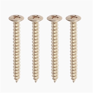 ALLPARTS 【お取り寄せ商品】 PACK OF 4 NICKEL NECKPLATE SCREWS/GS-0005-001
