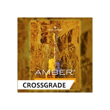 VIRTUAL GUITARIST AMBER 2 / CROSS GRADE (オンライン納品)(2時間以内に納品)