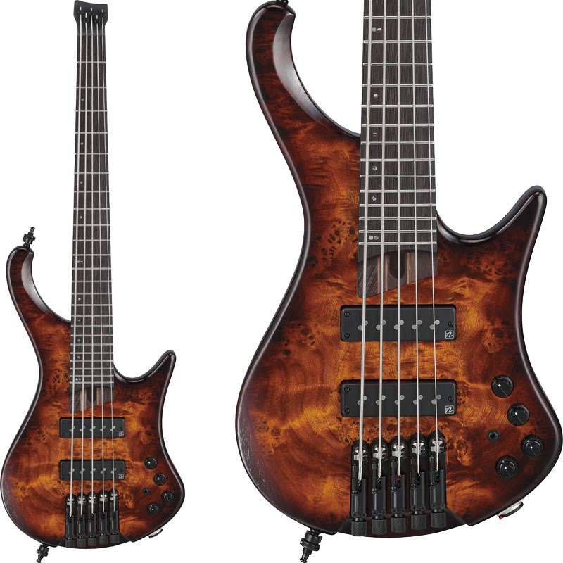 Bass Workshop EHB1505S-DEL [SPOT MODEL]の商品画像