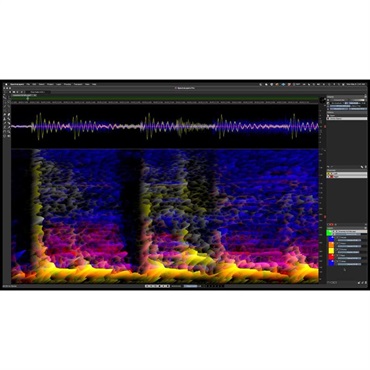SpectraLayers Pro 12 (オーディオエディター)(スタインバーグ)(スペクトラレイヤーズ)(DTM)(オンライン納品)(2時間以内に納品)