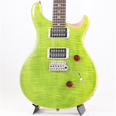 SE Custom 24 (Eriza Verde) [日本限定カラーモデル]
