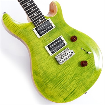 SE Custom 24 (Eriza Verde) [日本限定カラーモデル]