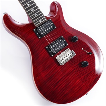 SE Custom 24 (Ruby) [日本限定カラーモデル]