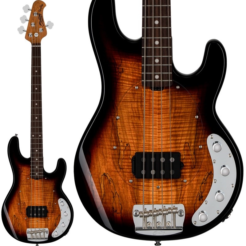 Ray34SM (3-Tone Sunburst/Rosewood)の商品画像