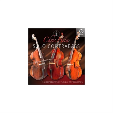 CHRIS HEIN SOLO CONTRABASS EXTENDED (オンライン納品)(2時間以内に納品)