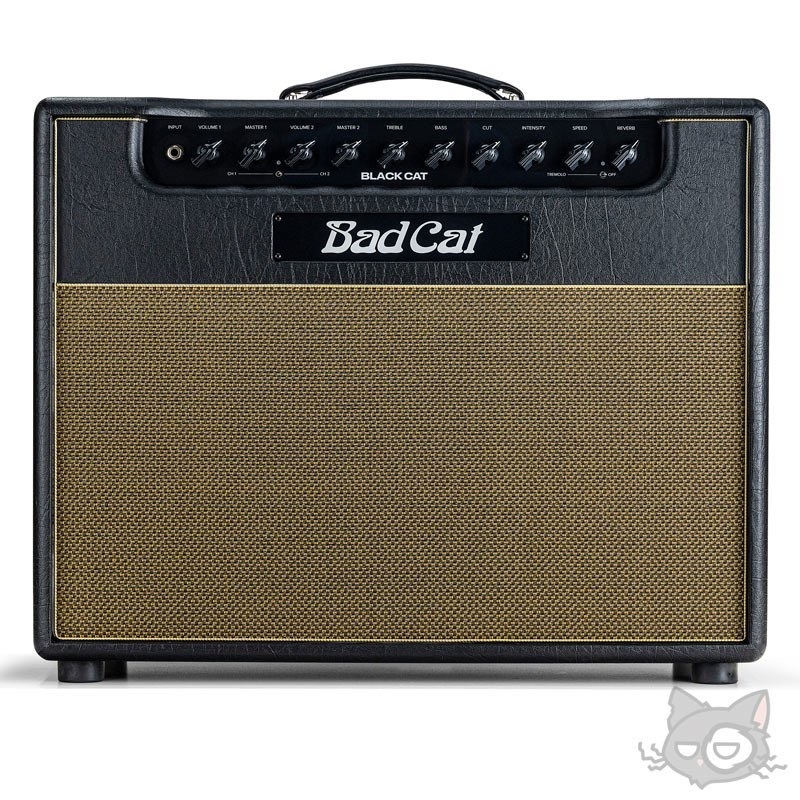 BLACK CAT 1x12 Combo（バッドキャット）【お取り寄せ商品】の商品画像