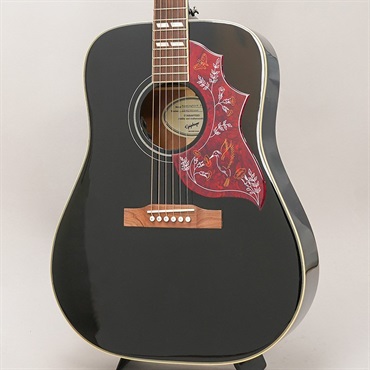 Hummingbird Studio(Ebony) エピフォン