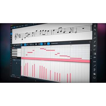 Dorico Pro 6 (譜面作成ソフト)(スタインバーグ)(ドリコ)(DTM)(オンライン納品)(2時間以内に納品)