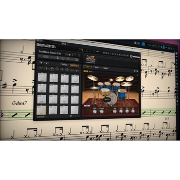 Dorico Elements 6 (譜面作成ソフト)(スタインバーグ)(ドリコ)(DTM)(オンライン納品)(2時間以内に納品)