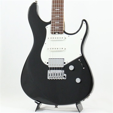 PACIFICA Professional 12 (Black Metallic) [SPACP12BM] 【夏先取り大特価セール】